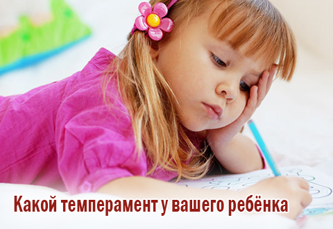 Какой темперамент у вашего ребенка?